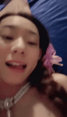 野猫吃辣椒