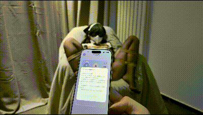 图片[7]-【ED2K】 绳艺捆绑 露毛漏穴【藤原熊二】 灰丝无内jk毛衣啵啵贝 黑丝ol办公室自慰 超折磨姿势多次强制高潮 8月最新【43g/29v/29配额 】-98推特-精选每日热门,专注打造高质量合集资源平台